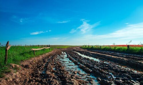 I fanghi di depurazione una volta sottoposti ad appositi processi per eliminare la parte batterica possono essere utilizzati come fertilizzante per l’agricoltura